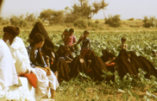 Rite of Vachchada Dada, kachchi rabari (Iconographic document)