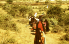 Rite of Vachchada Dada, kachchi rabari (Iconographic document)