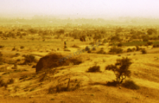 Rite of Vachchada Dada, kachchi rabari (Iconographic document)