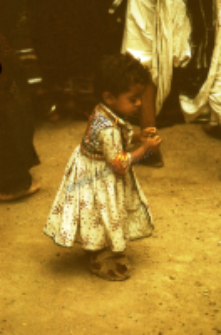 Dheberiya rabari wedding (Iconographic document)