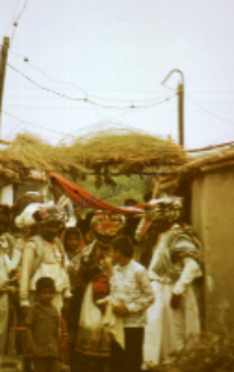 Dheberiya rabari wedding (Iconographic document)