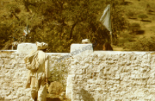 Paying homage to the pir (Iconographic document)