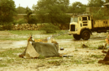 Rainy season, Gujarat (Iconographic document)
