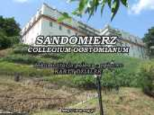Sandomierz-Collegium Gostomianum : field data - descriptive : parcel cards
