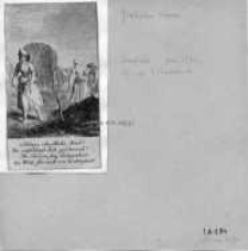 Rolnictwo : materiały Zakładu Historii Kultury Materialnej