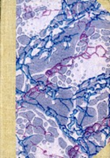 Arch&auml;ologische Erl&auml;uterungen zur Germania des Tacitus