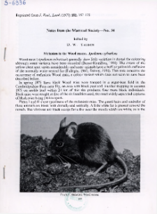 Melanism in the Wood mouse, Apodemus sylvaticus