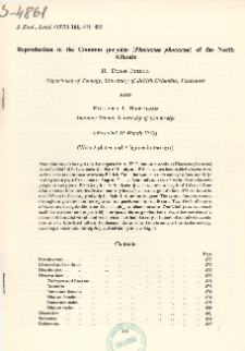 Reproduction in the Common porpoise (Phocoena phocoena) of the North Atlantic