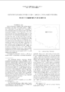 Plates from Radzyń Chełmiński