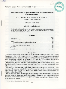 Some observations on the ultrastructure of the adenohypophysis of certain Cervidae