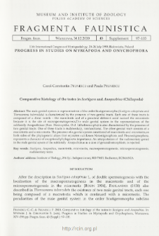 Comparative histology of the testes in Scutigera and Anopsobius (Chilopoda)