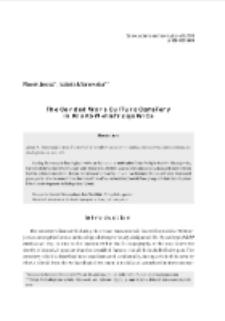 The Corded Ware culture cemetery in Krak&oacute;w-Mistrzejowice = Cmentarzysko kultury ceramiki sznurowej w Krakowie-Mistrzejowicach