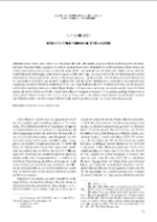 K&ouml;lner S&ouml;ldner im Mittelalter