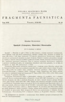 Sprężyki (Coleoptera, Elateridae) Bieszczad&oacute;w