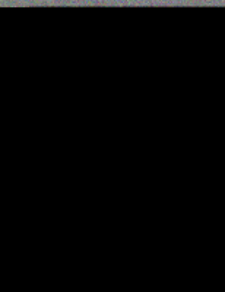 Contents