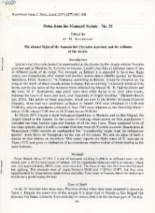 The diural flight of the Azorean bat (Nyctalus azoreum) and the avifauna of the Aores