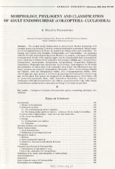 Morphology, phylogeny and classification of adult Endomychidae (Coleoptera: Cucujoidea)