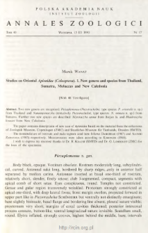 Studies on Oriental Apionidae (Coleoptera), 1. New genera and species from Thailand, Sumatra, Moluccas and New Caledonia