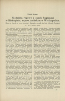 Wędzidła rogowe z osady bagiennej w Biskupinie, w pow. żnińskim w Wielkopolsce