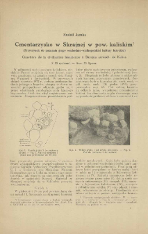 Cmentarzysko w Skrajnej w pow. kaliskim : przyczynek do poznania grupy wschodnio-wielkopolskiej kultury łużyckiej