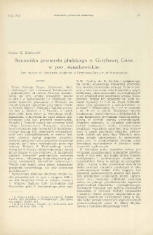 Stanowisko przemysłu płudzkiego w Grzybowej G&oacute;rze w pow. starachowickim