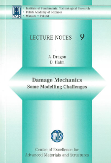Damage mechanics : some modelling challenges