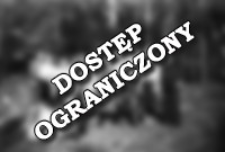 [A group of people in front of a forest] [An iconographic document]
