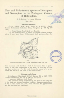 New and little-known species of Mecoptera and Neuroptera in the Zoological Museum of Helsingfors