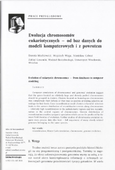 Evolution of eukaryotic chromosomes - from databases to computer modeling