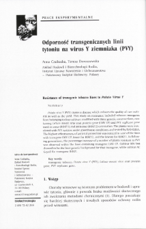Odporność transgenicznych linii tytoniu na wirus Y ziemniaka (PVY)