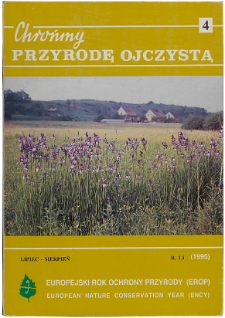 Locality of the Orchis mascula in the Bieszczady Niskie Mts.