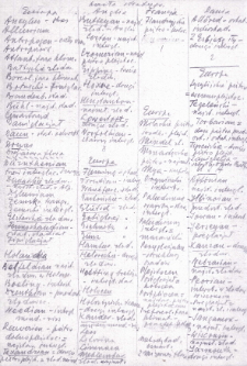 Materiały do słownika geologicznego : hasła