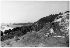 Przegorzały pod Krakowem : dokumentacja polowa