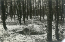 Fotografie : Gr&oacute;dek