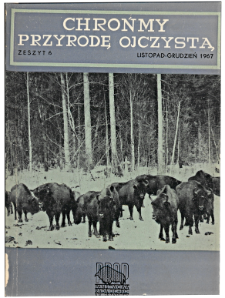 Studies on the bison in Poland