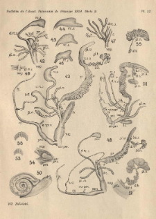 Anatomisch-systematische und zoogeographische Studien &uuml;ber die Heliciden Polens = Anatomiczno-systematyczne i zoogeograficzne studja nad Helicidami Polski