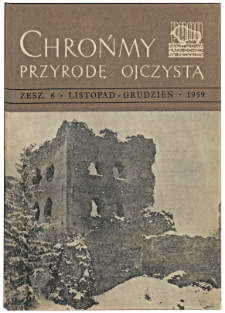 Lime-tree avenue at Niebor&oacute;w