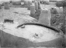 Stanowisko Horodok II : skupienie kości