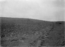 Gródek : osada wczesnohistoryczna "nad Rudnikiem" w Gródku : widok na miejsce próbnych rozkopywań w 1925 roku