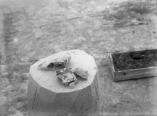 Horodok stanowisko II : skupisko krzemieni