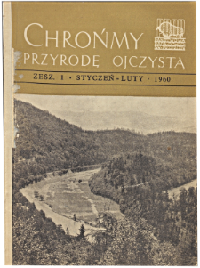 The Rudawa Gorge at Skała Kmity near Zabierz&oacute;w