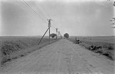 Chełm : droga na południe od miasta