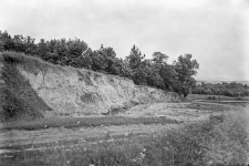 Wieś Podbereźce (koło Lwowa) : widok na odsłonięcie lessu