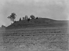 Ruda Damir&oacute;w, powiat Garwolin : widok na kopiec