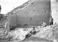 Stanowisko Horodok II : widok na wykop i trzech pracownik&oacute;w