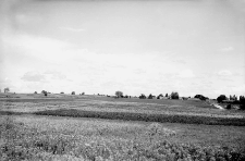 Nowy Tyczyn, powiat Trembowla (Podole) : step "Pantalicha"