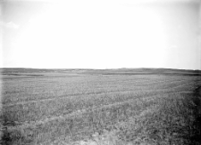 Polesie : zdjęcie krajobrazowe