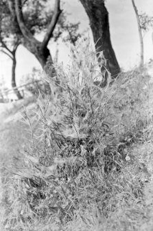 Miejscowość nieokreślona : zdjęcie krajobrazowe