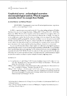 Geophysical survey - archaeological excavation - micromorphological analysis. What do magnetic anomalies show? An example from Hedeby
