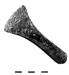 axe (Tarnówka) - metallographic analysis
